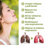 Spray Vías Aéreas Puras: Ingredientes Naturales 100%.